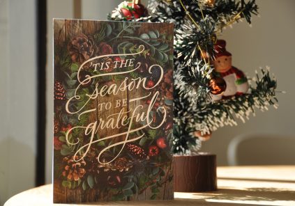 Atelier Pirouette Circaouette : En attendant noël