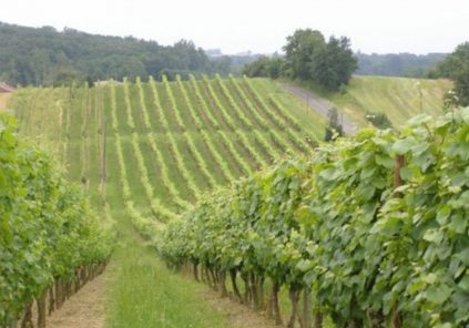 Aire de stationnement au Domaine de Bilé