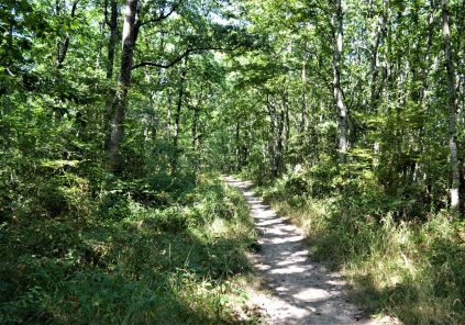 Course : La BarklAuch