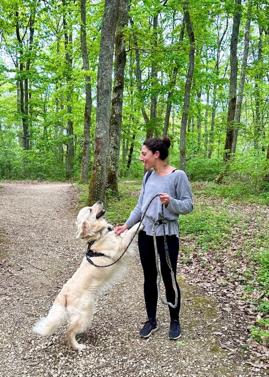 photo bois d'Auch @lesdecouvertesdemagalie