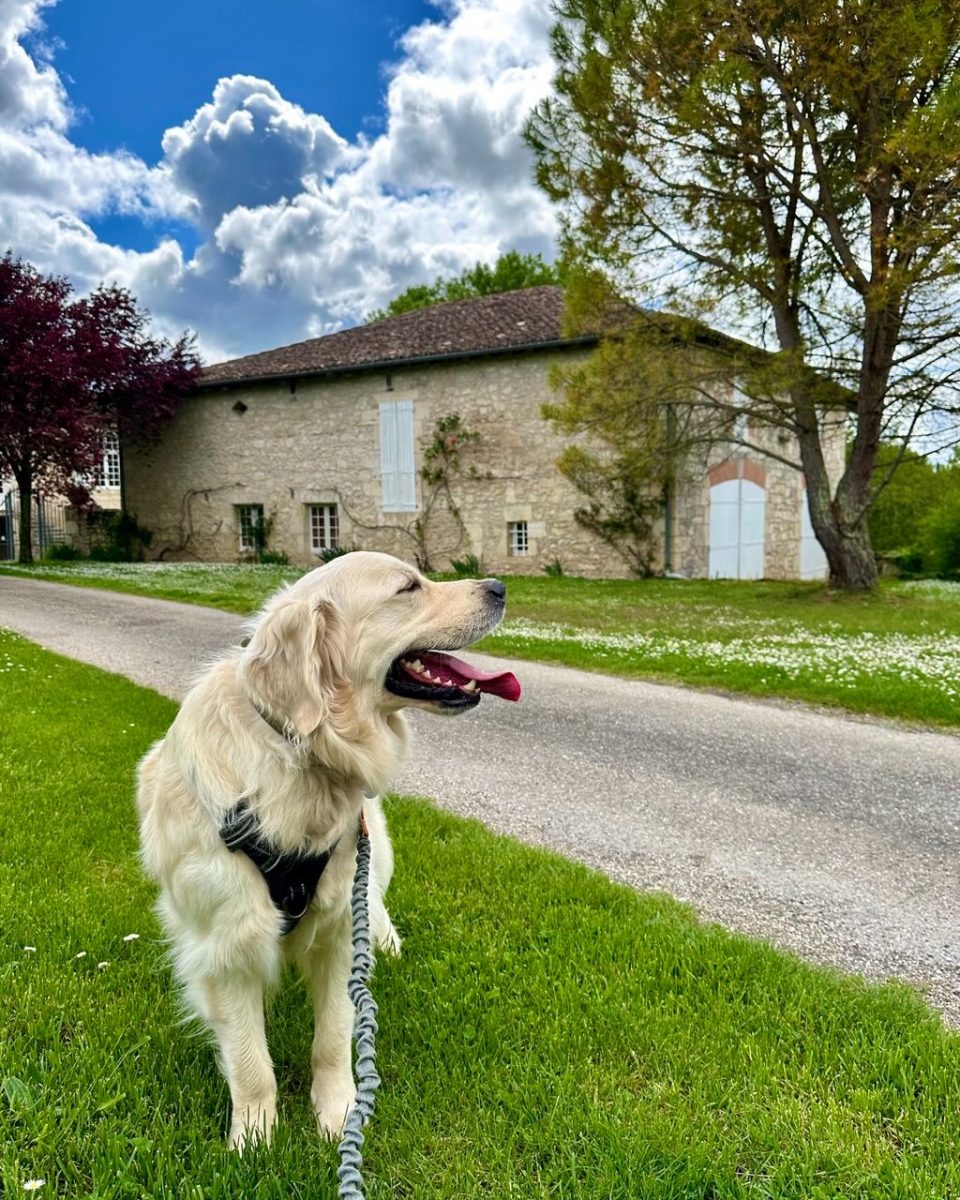 rando à Castelnau 2025 ©@lesdecouvertesdemagalie