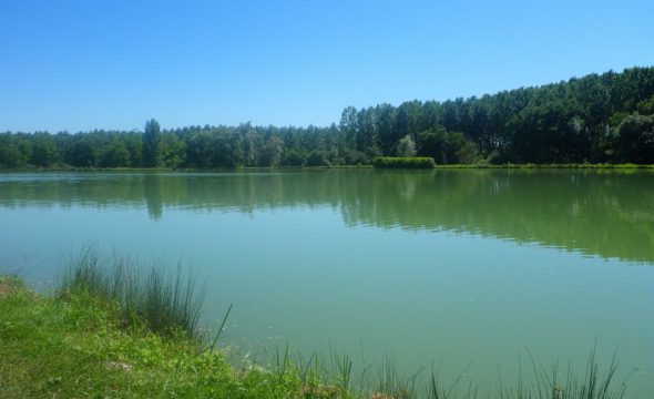 La pêche dans le Gers