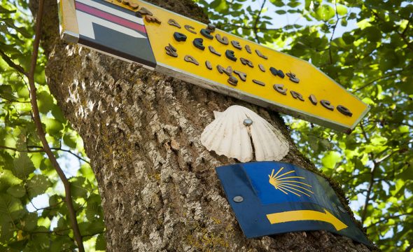 « Ultreia » disent les pèlerins !
