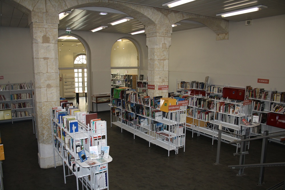 Grand Auch Coeur de Gascogne Media Library