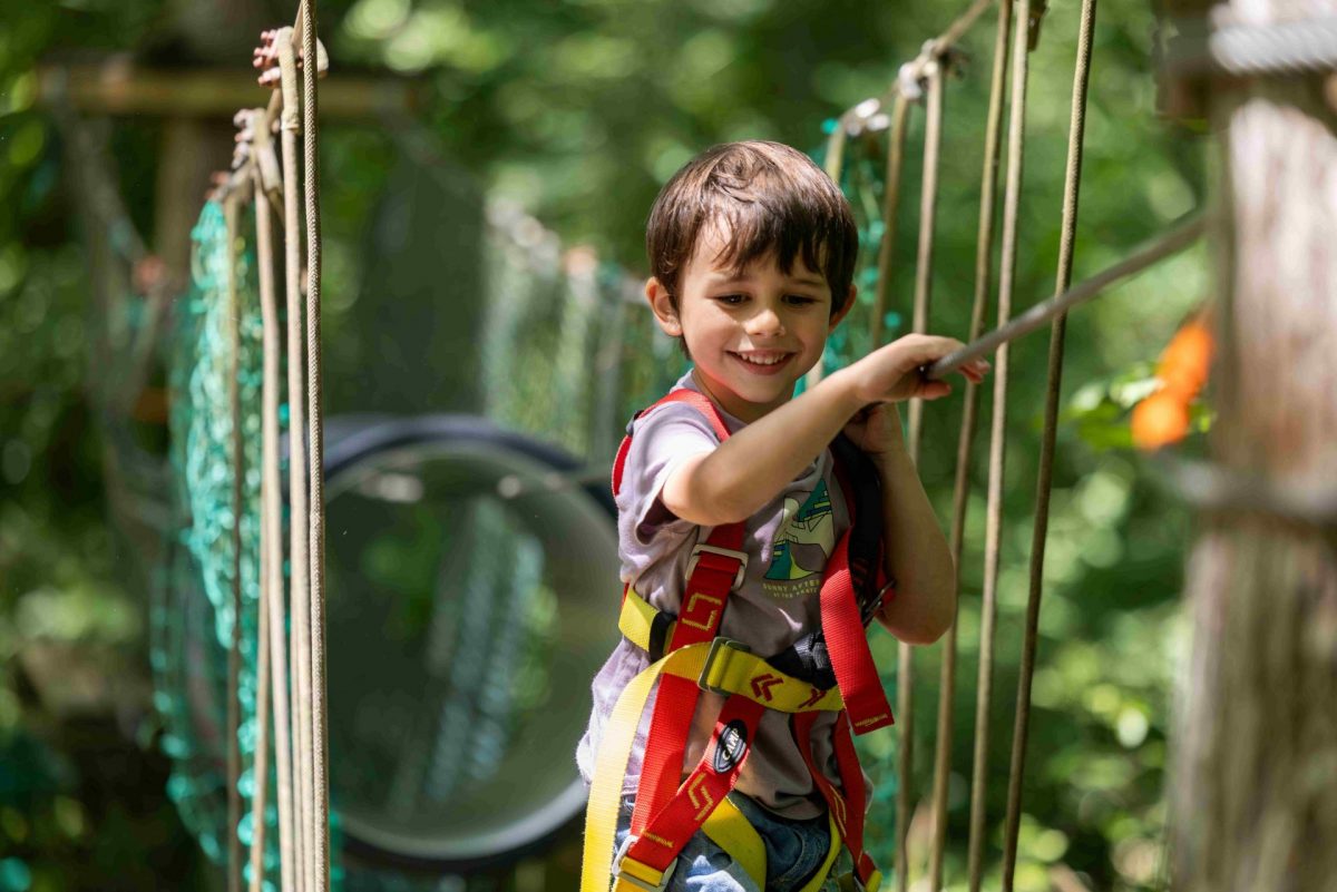 Accrobranche Vert en l'Air