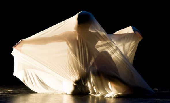 Le cirque par Ian Grandjean, photographe