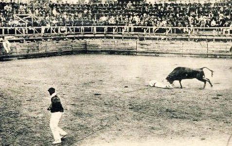 Des Arenes A Auch Grand Auch Coeur De Gascogne Site Officiel De L Office De Tourisme