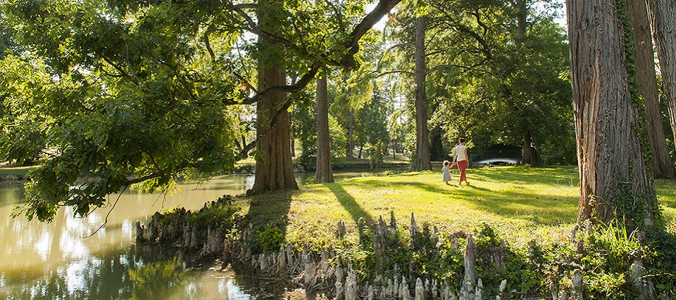 Parc du conseil départemental à Auch