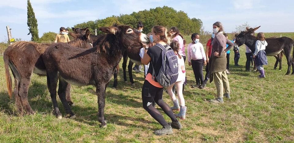 Visita guiada oculta la Ferme du Hitton 2020