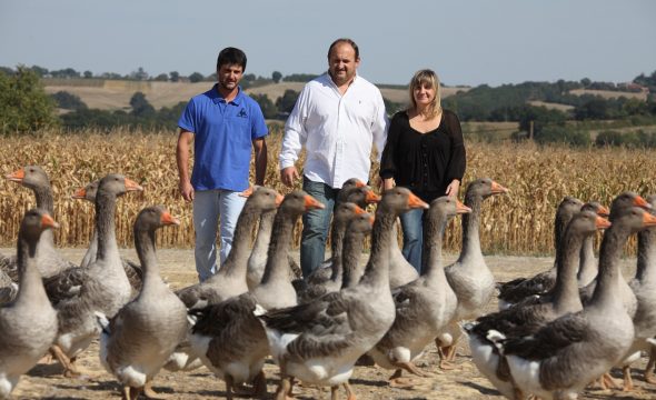 Le Comptoir de Tistou , quand la ferme Ramajo vient à la ville