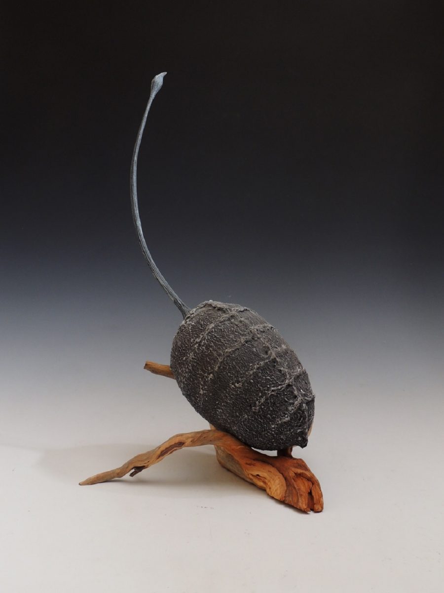 création S et R Clémenceau