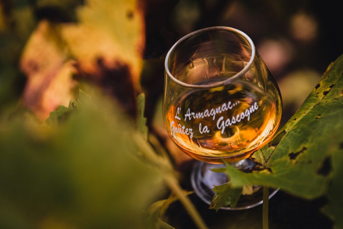 Armagnac ©Linstant C photographe_ffice de tourisme Grand Auch Cœur de Gascogne