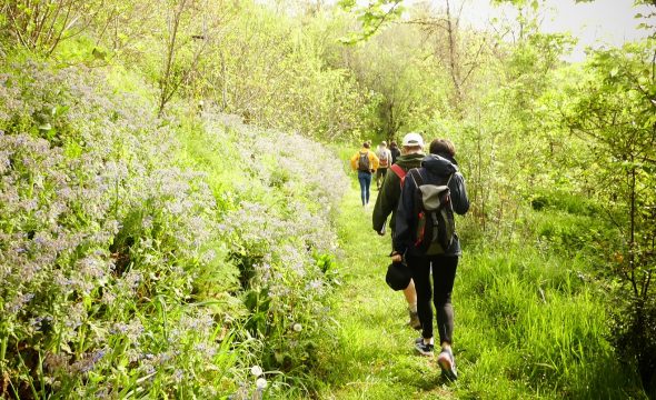 Guide Balades & randonnées : la nouveauté !