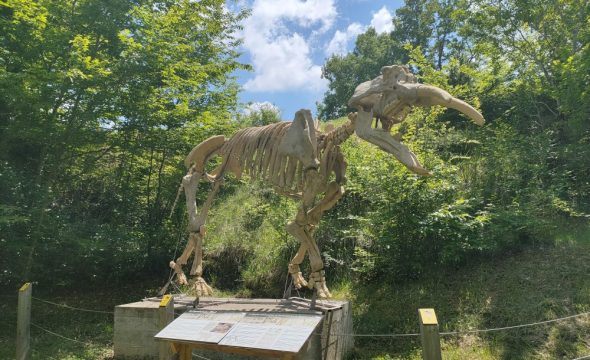 J’ai testé pour vous… Le Paléosite de Sansan