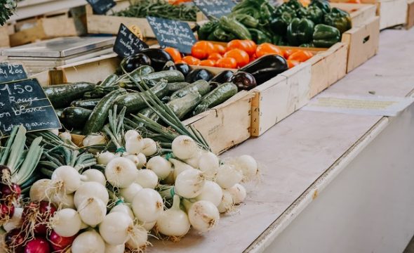 Croquez l’hiver à pleines dents