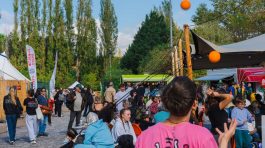 Plonger dans les arts du cirque