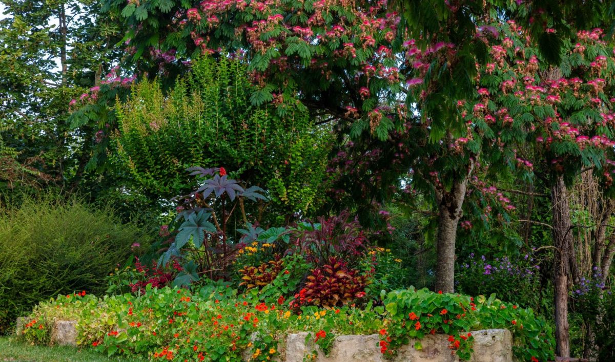 Village d'Ordan-Larroque Balade