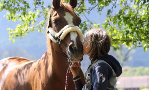 Les écuries du Bouscassé, paradis des cavaliers, mais pas que …