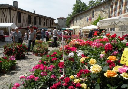 Marché aux fleurs : « Les Créneaux fleuris »