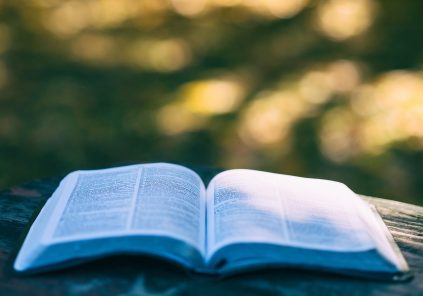 Lectures au jardin à la médiathèque