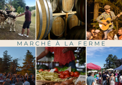 Domaine de Bilé : Marché à la ferme