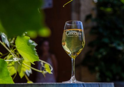 Marché vigneron bio au domaine de Herrebouc
