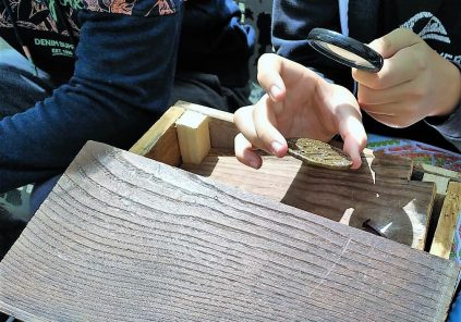 Clued&rsquo;Auch : Entre chasse au trésor et Cluedo® à la découverte du patrimoine