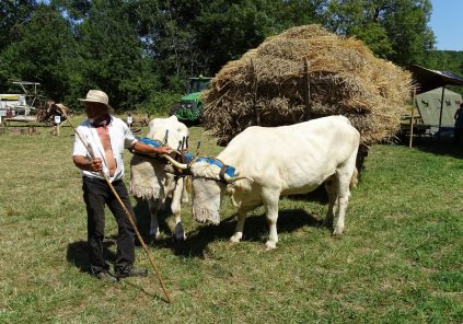Fête des battages à l&rsquo;ancienne