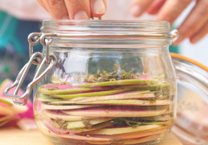 Atelier : découverte de la lactofermentation