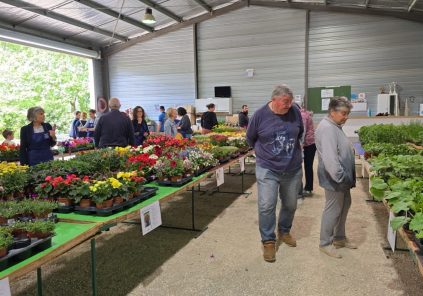 24ème marché aux fleurs de Jegun