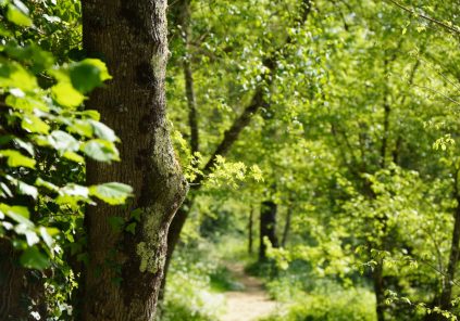 Journée de la biodiversité