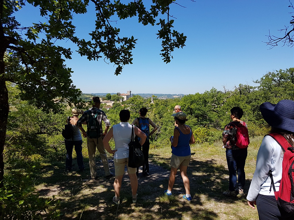 Le chemin de Saint-Jacques de Compostelle à Montégut